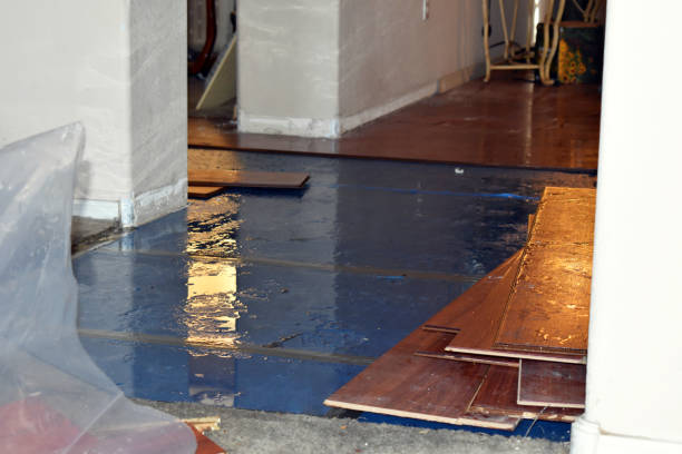 Professional Burst Pipe Cleanup technician working in Newalla, OK